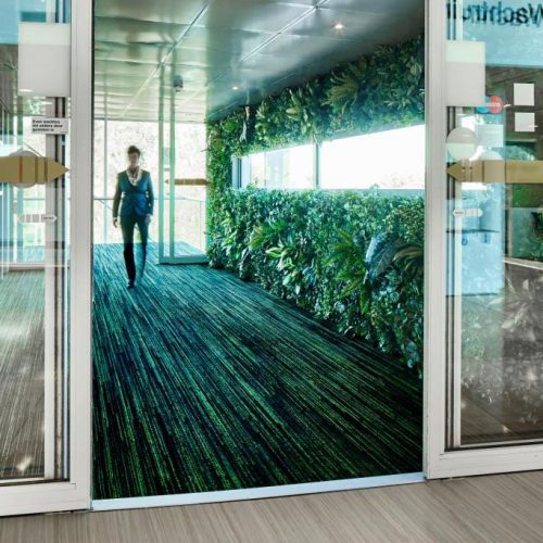 Entrance Matting